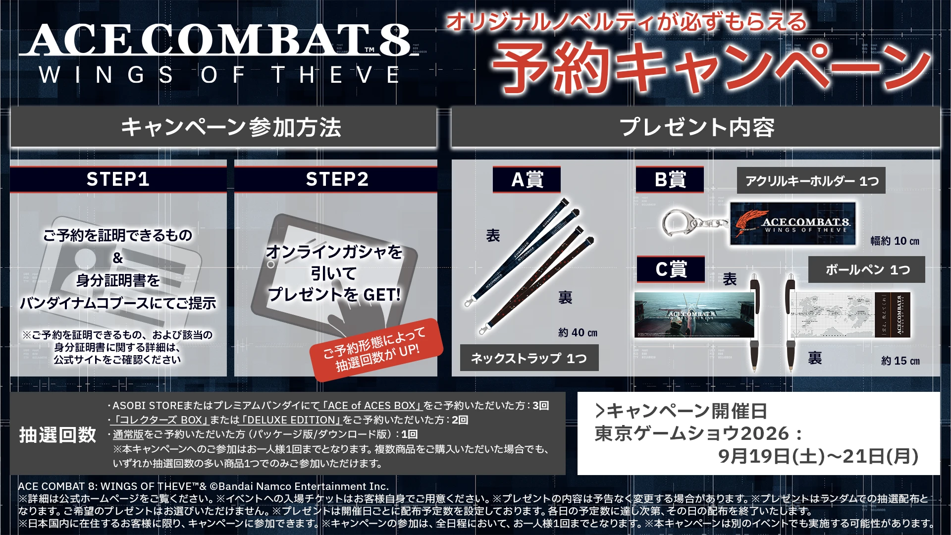 ACE COMBAT 8: WINGS OF THEVE 予約キャンペーン 説明画像